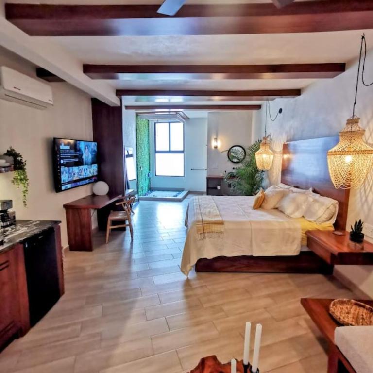 Luxury Studio 204 in Zona Romantica - Apartamento - 3
