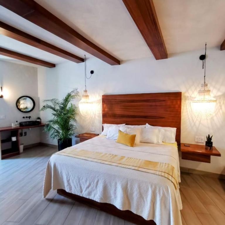 Luxury Studio 204 in Zona Romantica - Apartamento - 4