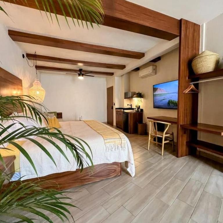 Luxury Studio 204 in Zona Romantica - Apartamento - 5