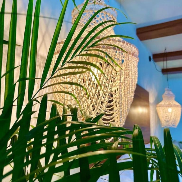 Luxury Studio 204 in Zona Romantica - Apartamento - 12