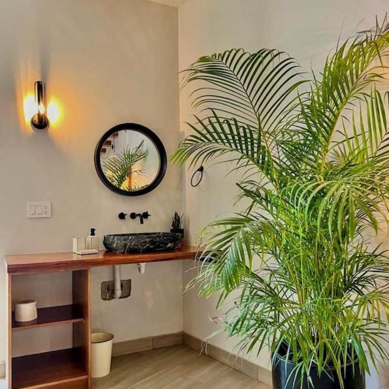 Luxury Studio 204 in Zona Romantica - Apartamento - 14