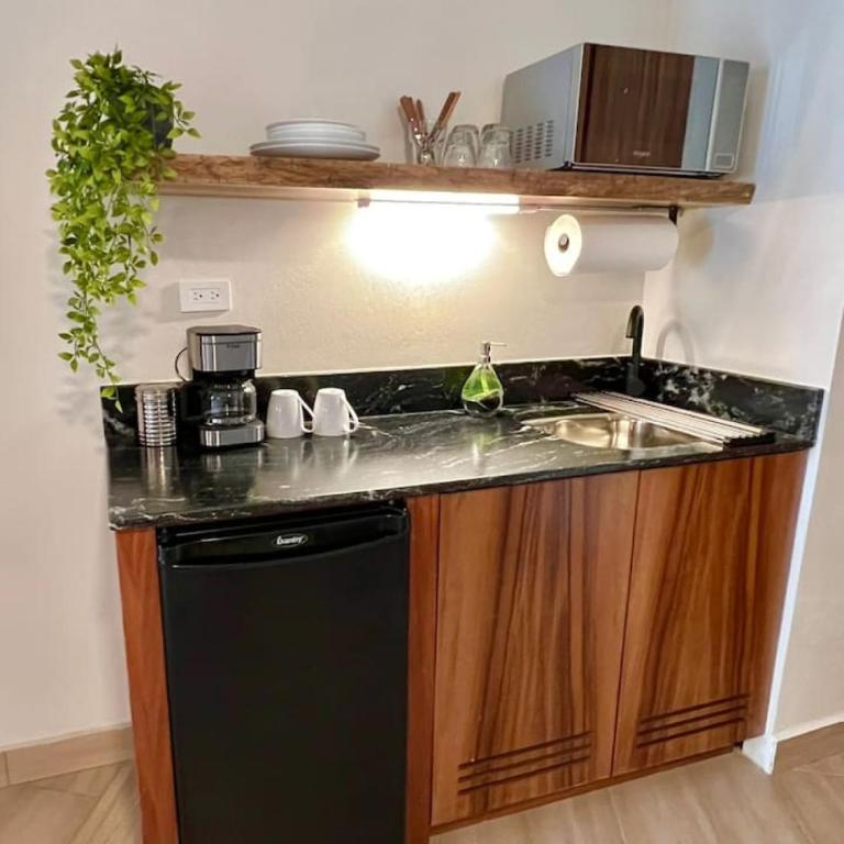 Luxury Studio 103 in Zona Romantica - Apartamento - 10