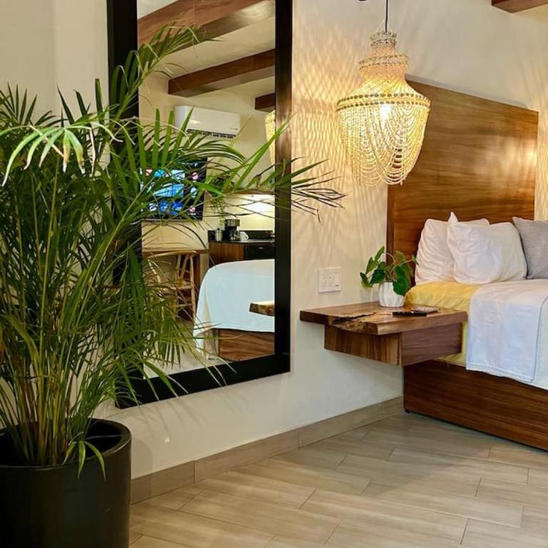 Luxury Studio 104 in Zona Romantica - Apartamento - 3