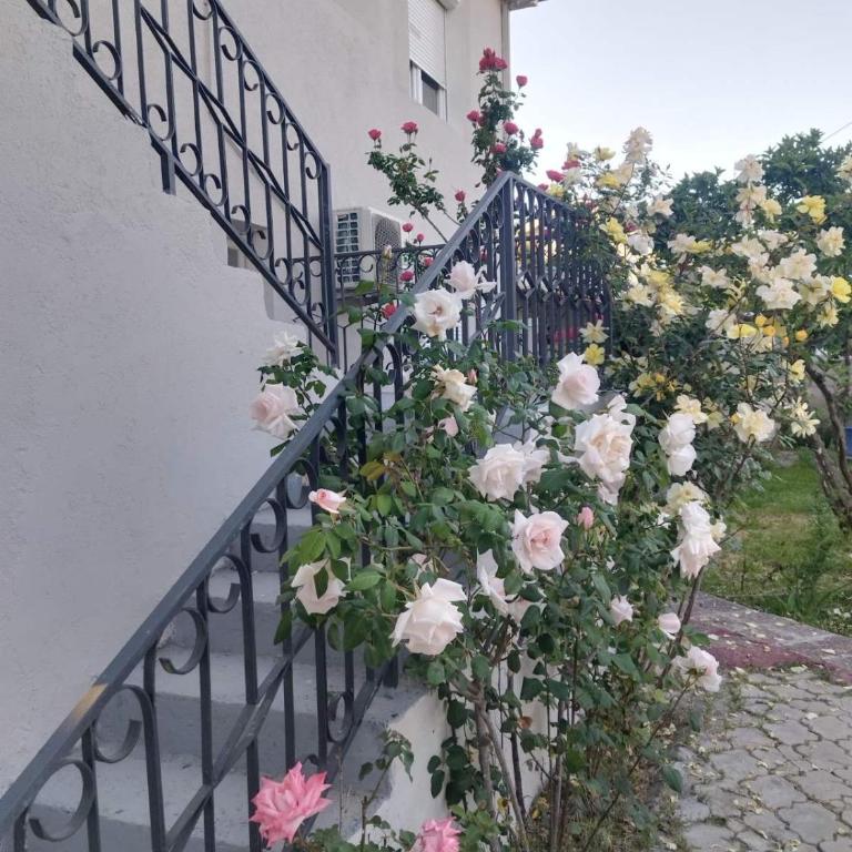 Apartment White Rose - One-Bedroom Apartment - 39