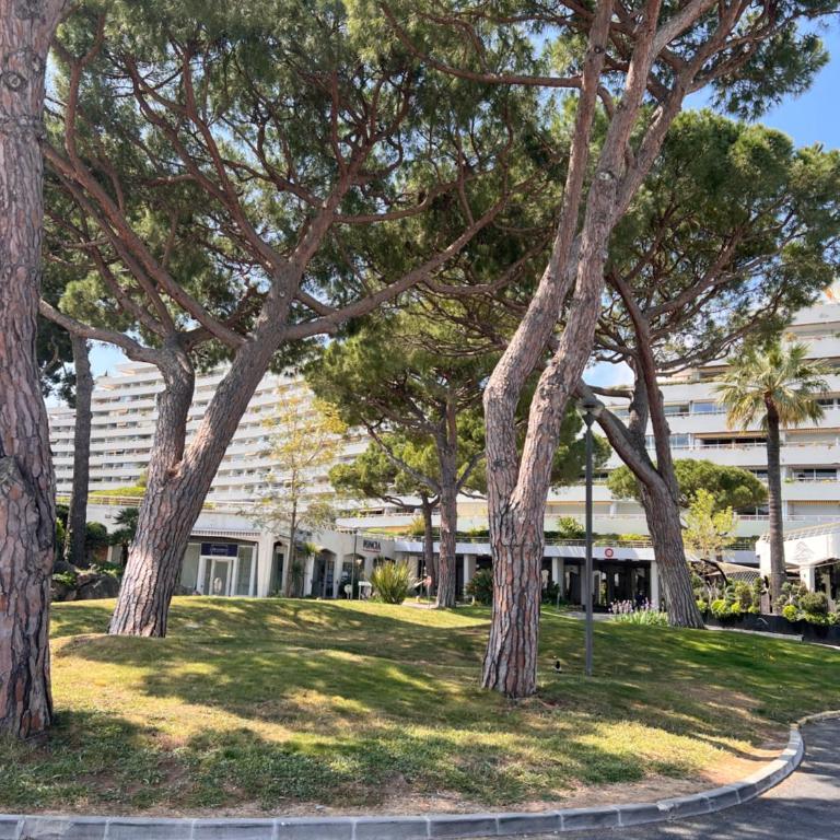 La Studette Marina 06 - Appartement 1 Chambre - 12