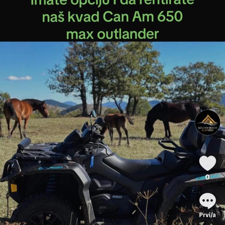 Vila Golden Queen Zlatibor - Kuća sa 1 Spavaćom Sobom - 2
