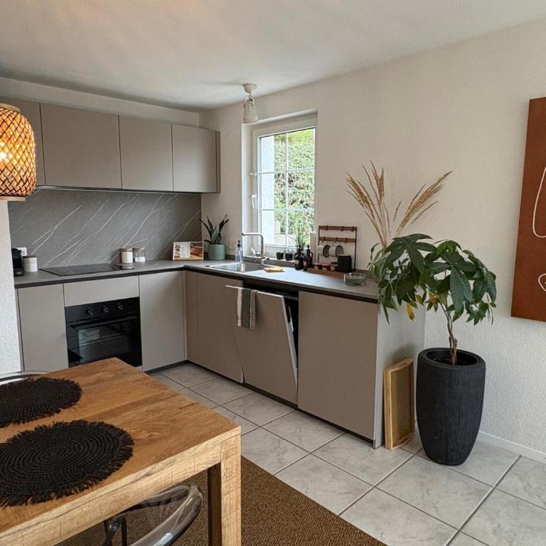 Boho appartement dans villa à Grandson - Deluxe Apartment mit 1 Schlafzimmer und Gartenblick - 7