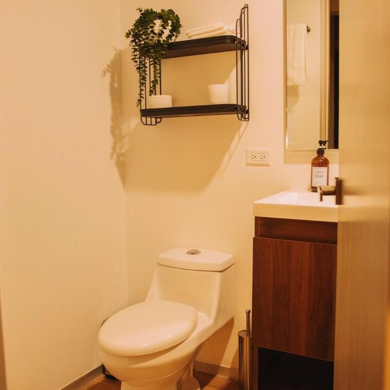 Cozy apartment in downtown Guadalajara - Two-Bedroom Apartment - 12