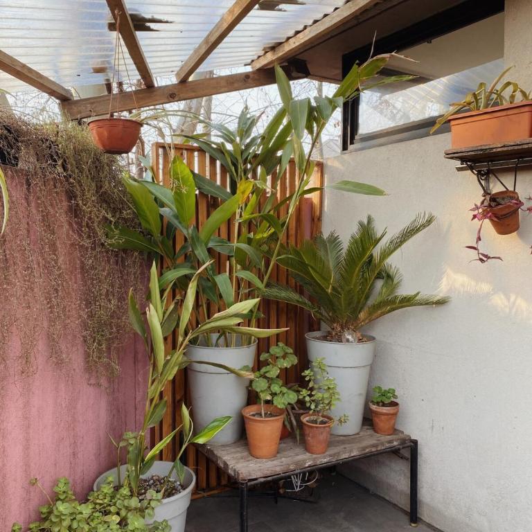 A beautiful apartment in the heart of Tigre with a pool - Apartamento de 1 dormitorio - 21