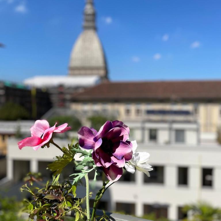 Lovely and Panoramic Suite in the Heart of Turin - Monolocale con Divano-Letto - 15
