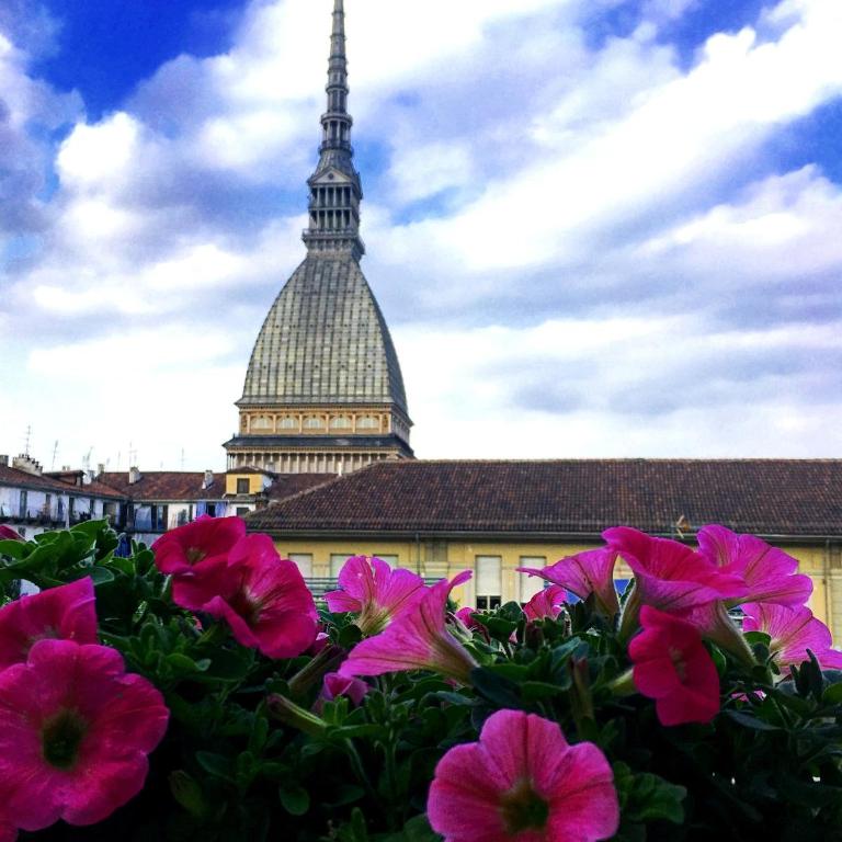 Lovely and Panoramic Suite in the Heart of Turin - Monolocale con Divano-Letto - 50