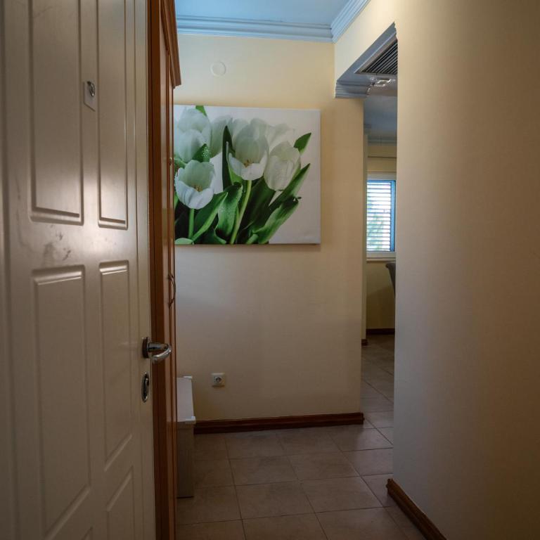 One Bedroom Apartment near Bečići Beach - One-Bedroom Apartment - 6