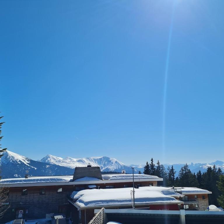 DFJ des Neiges, Piscine, Pieds des pistes - Apartamento de 1 dormitorio - 8
