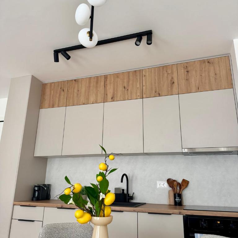 Sea Icon Budva - One-Bedroom Apartment - 12