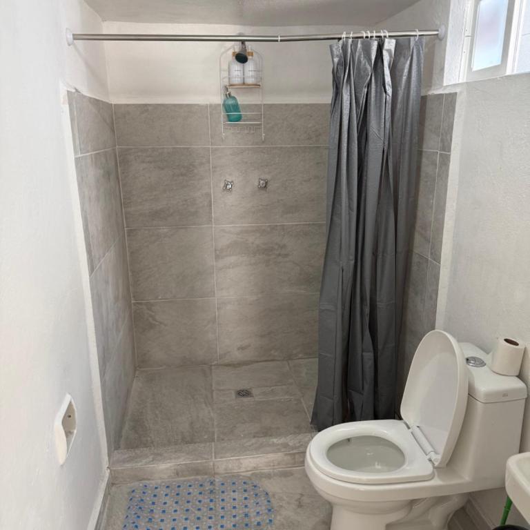 Casa en el centro de MTY - One-Bedroom Apartment - 5