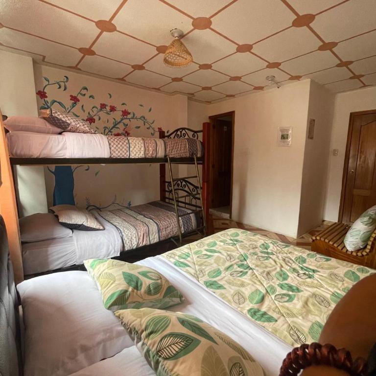 Golden Bird, Mindo - Quadruple Room with Private Bathroom - 5