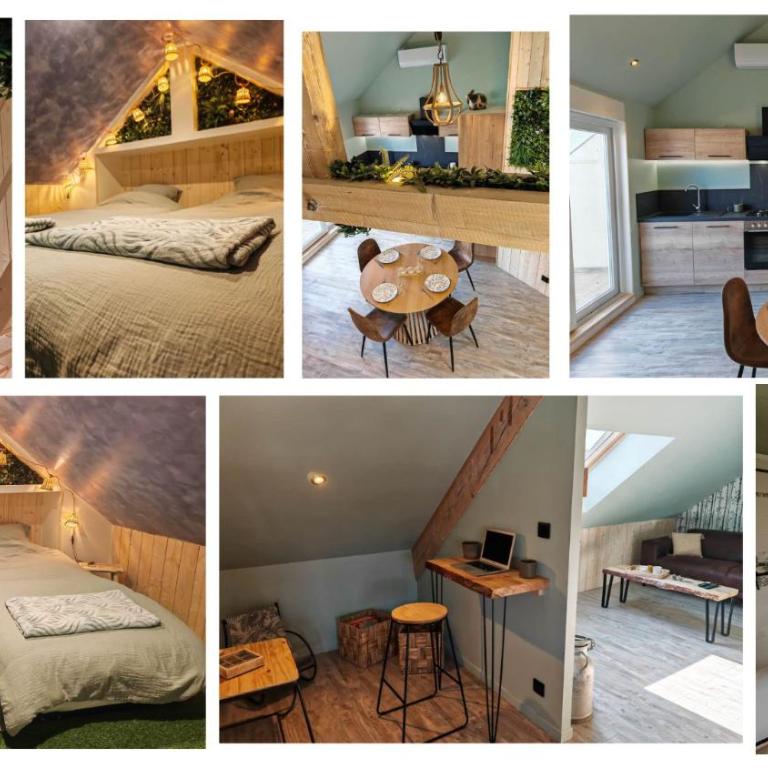 La Cabane Appartement Classé 3 étoiles jusqu'à 4 personnes - Apartamento de 2 dormitorios con terraza - 24