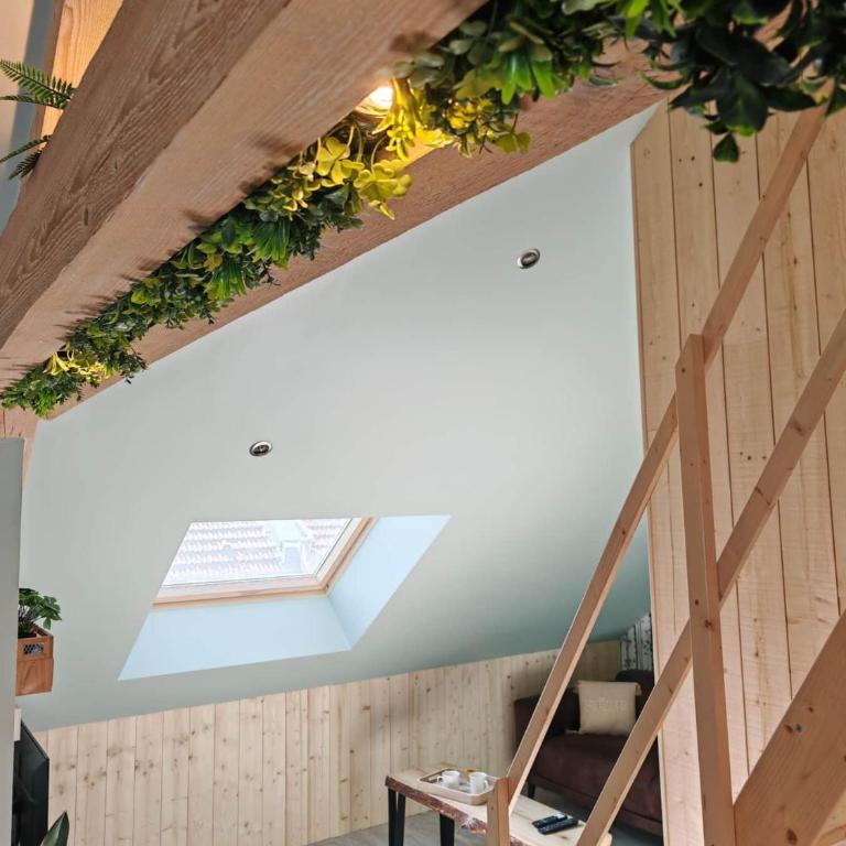 La Cabane Appartement Classé 3 étoiles jusqu'à 4 personnes - Apartamento de 2 dormitorios con terraza - 27