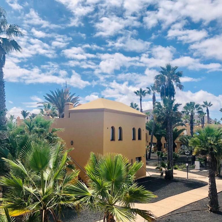 Comfortable apartment with terrace 5 minutes from the beach-dunes - Apartamento de 1 dormitorio - 7