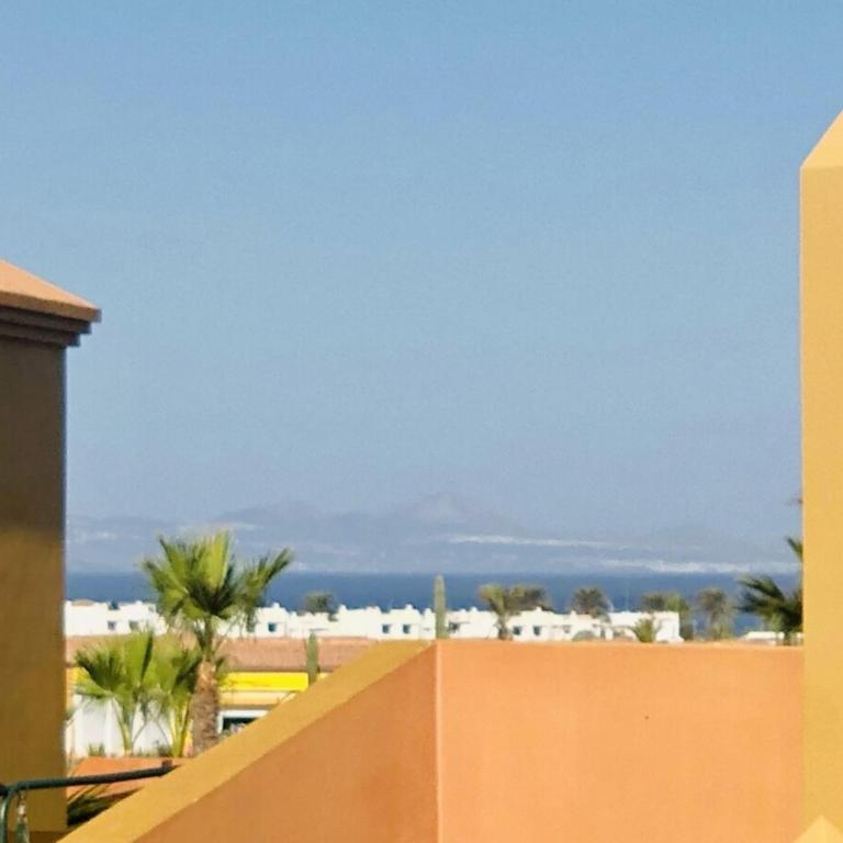 Comfortable apartment with terrace 5 minutes from the beach-dunes - Apartamento de 1 dormitorio - 5