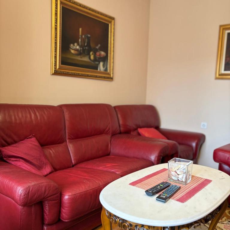 Apartman Rajna Free PARKING - Apartment - 4