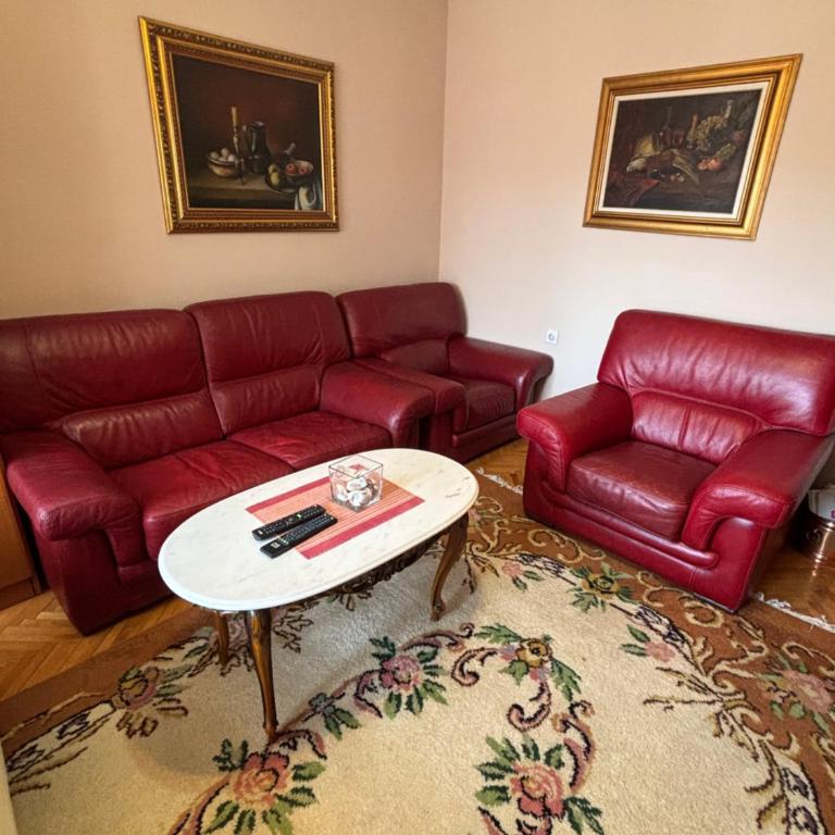 Apartman Rajna Free PARKING - Apartment - 11