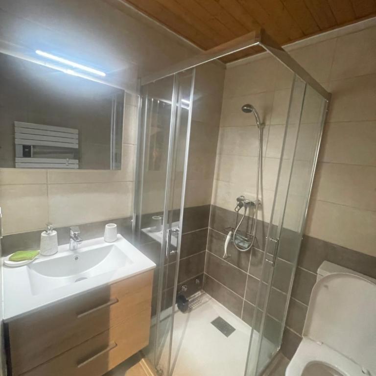 Appartement ski Châtel Haute Savoie - Apartamento de 3 dormitorios - 14