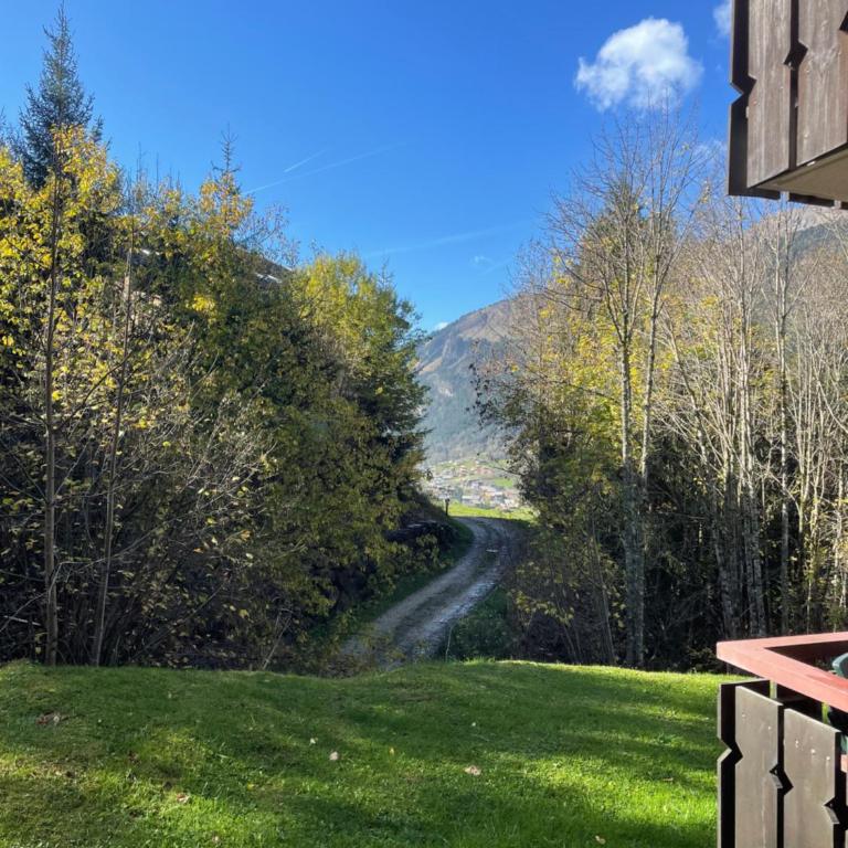 Appartement ski Châtel Haute Savoie - Apartamento de 3 dormitorios - 19