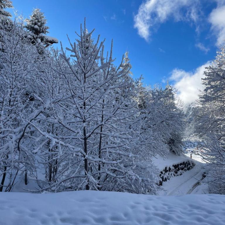 Appartement ski Châtel Haute Savoie - Apartamento de 3 dormitorios - 20