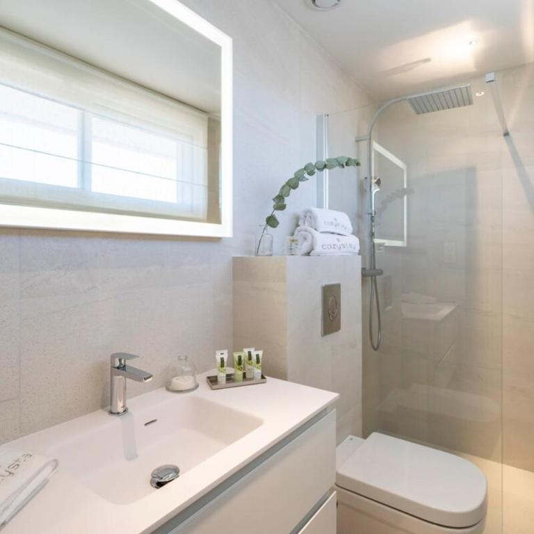Magnifique penthouse 4 pièces neuf au Mouré Rouge - Appartement - 32