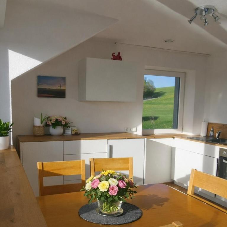 Panorama Apartment im Allgäu mit Balkon, Garten und Stellplatz - Appartamento con 2 Camere da Letto - 13