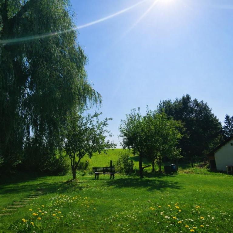Panorama Apartment im Allgäu mit Balkon, Garten und Stellplatz - Appartamento con 2 Camere da Letto - 25