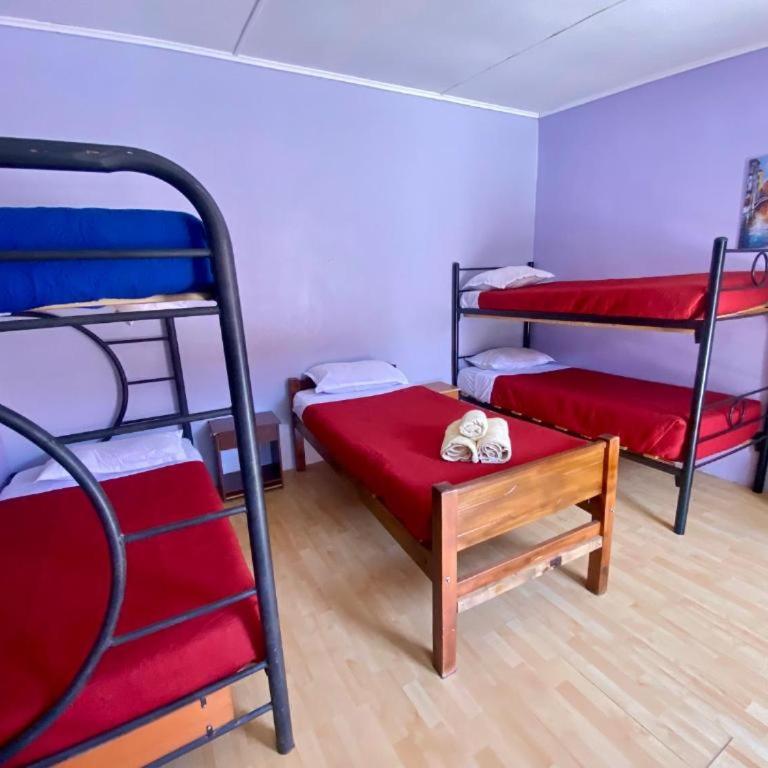 Hostal Nueva Luna - Family Room with Private Bathroom - 5