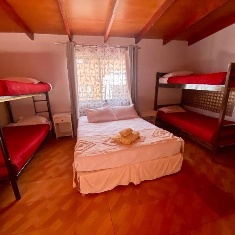 Hostal Nueva Luna - Family Room with Private Bathroom - 2