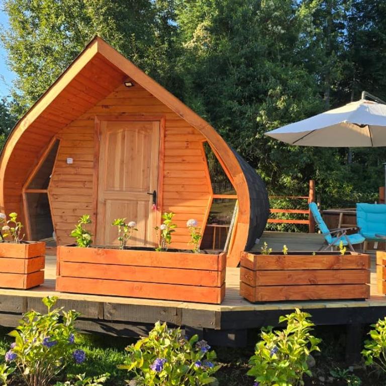 Tiny House - One-Bedroom Apartment - 1
