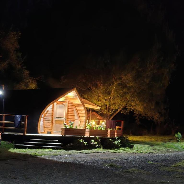 Tiny House - One-Bedroom Apartment - 10