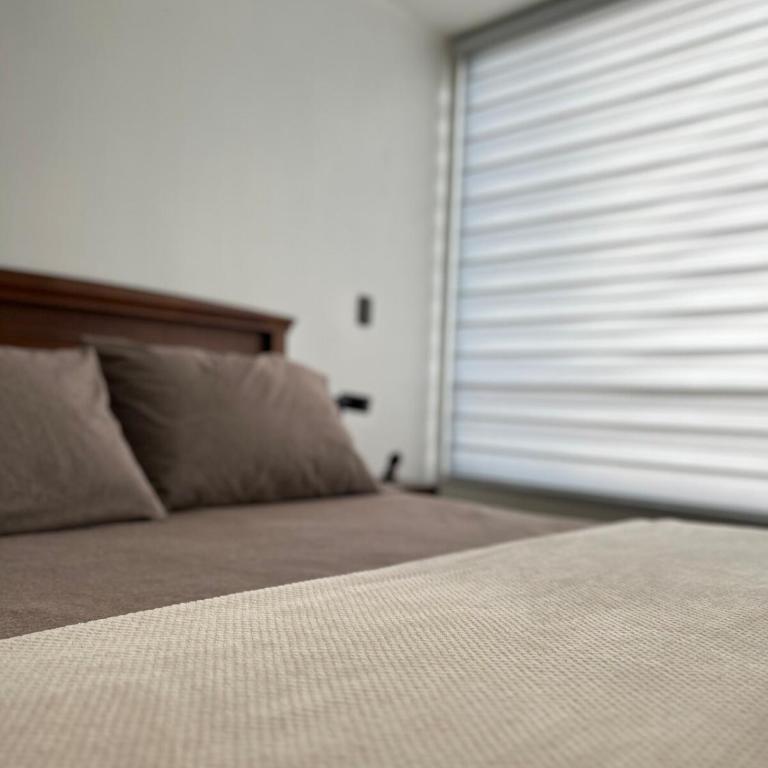 Moderno depto a pasos del Movistar arena - Apartamento - 17