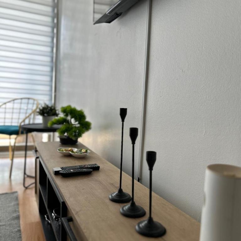 Moderno depto a pasos del Movistar arena - Apartamento - 25