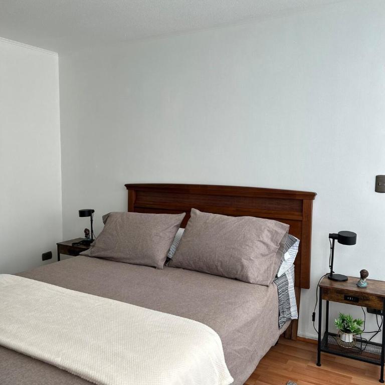 Moderno depto a pasos del Movistar arena - Apartamento - 36
