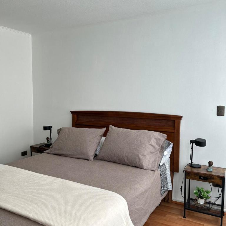Moderno depto a pasos del Movistar arena - Apartamento - 64
