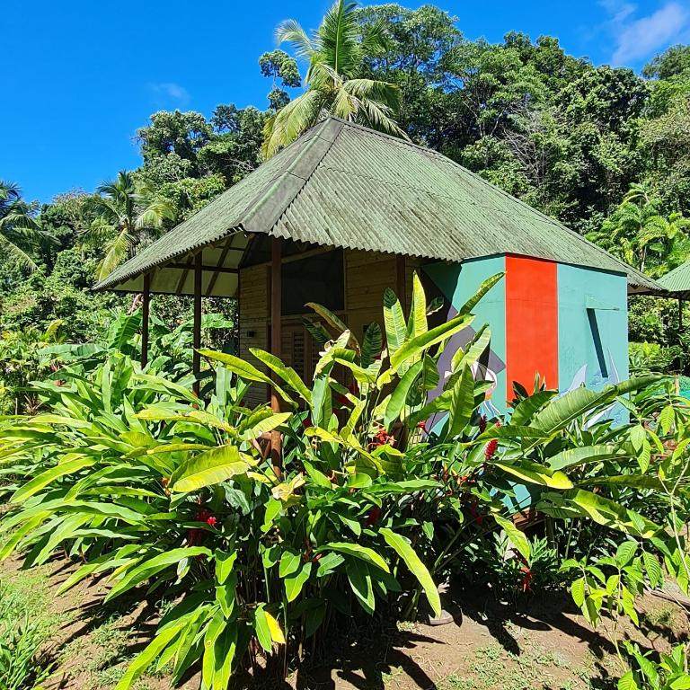 Jenené Lodge Nuquí - Bungalow con vistas al jardín - 1