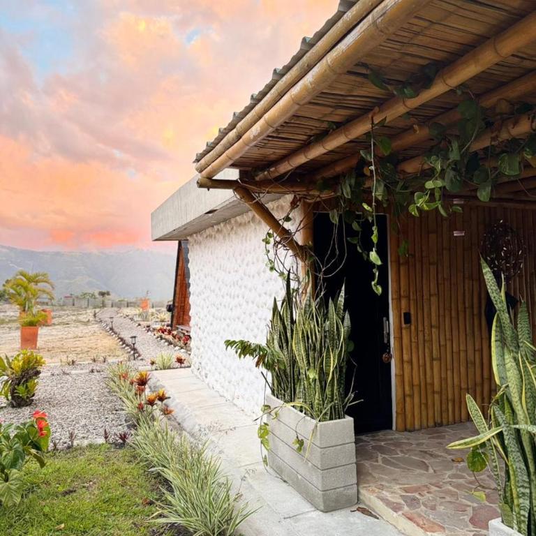 Mambe refugio - Suite con vistas a la montaña - 7