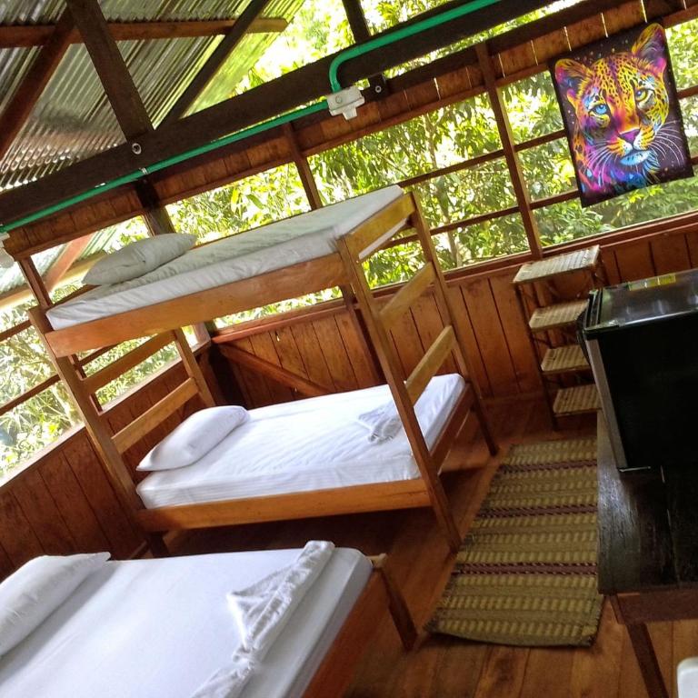 Cabañas Mashcopiro Amazonas - Triple Room with Private External Bathroom - 9