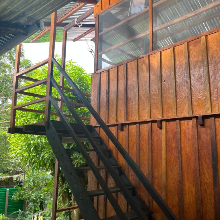Cabañas Mashcopiro Amazonas - Triple Room with Private External Bathroom - 14