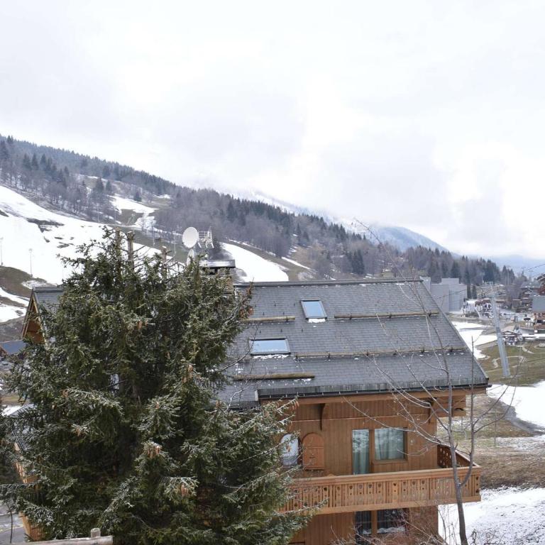 Appartement ski aux pieds - 6 pers. - FR-1-180-675 - Apartment - 21