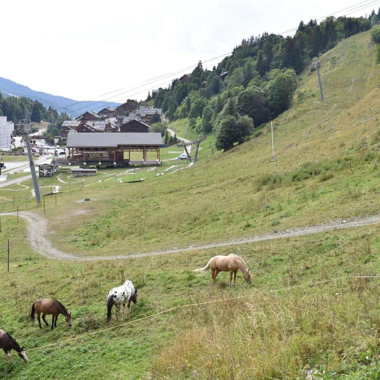 Appartement ski aux pieds - 6 pers. - FR-1-180-675 - Apartment - 22