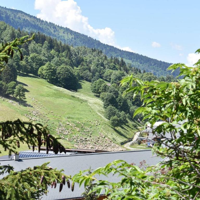 Appartement ski aux pieds - 6 pers. - FR-1-180-675 - Apartment - 24