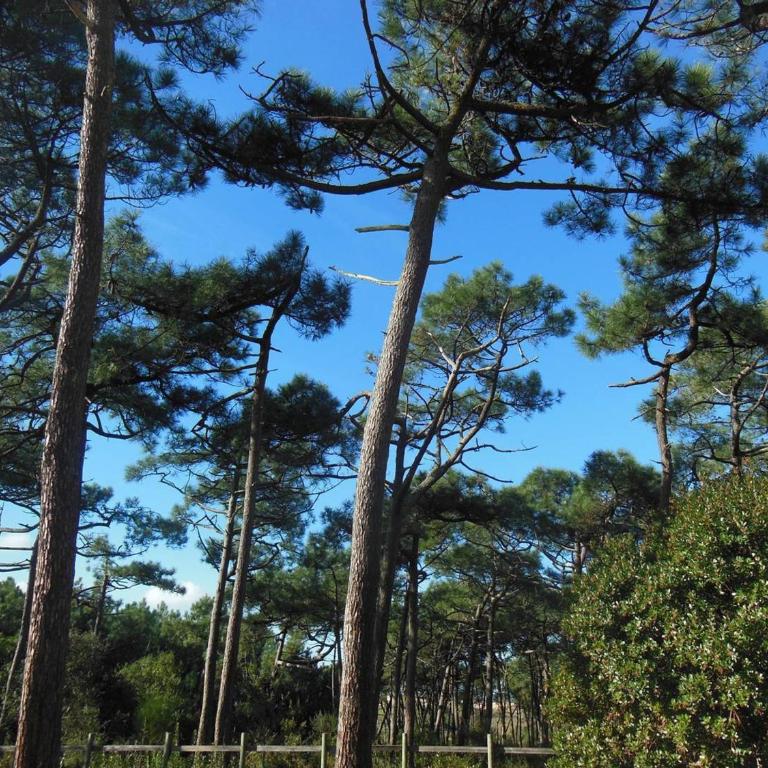 Appartement confortable avec parking - 8/10 pers. - FR-1-878-26 - Appartement - 12