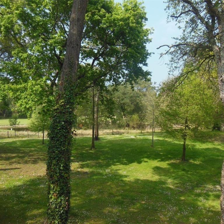 Maisonnette avec parking, animaux OK - 4/6 pers. - FR-1-878-53 - Maison de Vacances - 10