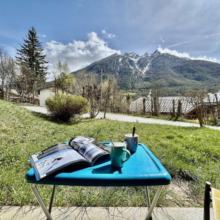 Appartement spacieux avec jardin privatif - 6 pers. - Appartement 2 Chambres - 3
